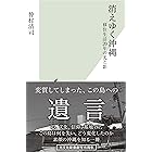 消えゆく沖縄～移住生活20年の光と影～ (光文社新書)