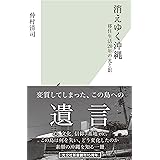 消えゆく沖縄～移住生活20年の光と影～ (光文社新書)