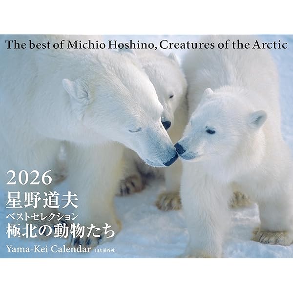 Alaska風のような物語 | 星野 道夫 |本 | 通販 | Amazon