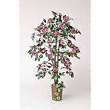 観葉植物 ブーゲンビリア 高さ：約167cm 天然木使用