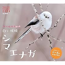 81Stql1iTdL._AC_UL210_SR210,