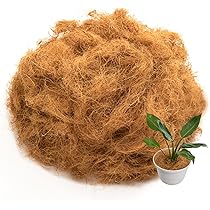 ラベニア ヤシ ファイバー鉢 お皿付き ラベニア ヤシ ファイバー鉢 お皿付き ラベニア ヤシ ファイバー鉢 お