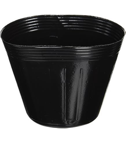 NIPPORI ポリポット 黒 15.0 cm エコポリポット 黒 15cm 100枚入 | ジョイフル本田 取り寄せ