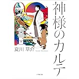 神様のカルテ０ (小学館文庫)