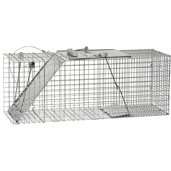 Duke Animal Trap Large Heavy Duty Model 1112, 40 OFF