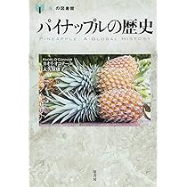 ふーか❀愛の叶えるパイナップルオルゴナイト❀ 可愛いパイナップルのキャラクターと誇り高い顔のイラスト」のベクター
