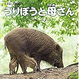 いのしし アリス館写真絵本シリーズ 貴行 前川 本 通販 Amazon
