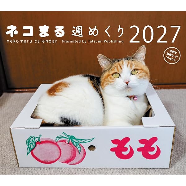 2027 カレンダー 猫猫是好日（ねこねこ これこうじつ） | 大島淳之 |本