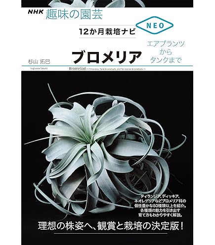 Amazon | BLACKWATER®ブラックウォーター 500ml リフィル | 液肥・活力剤