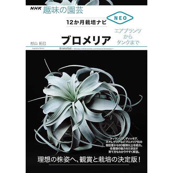 エアプランツLife、MIST LOVERS、他4冊セット Amazon｜エアプランツ (Mサイズ 4種類) おまかせセット チランジア