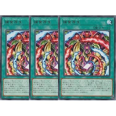 Amazon.co.jp 最新リリース: シングルノンスポーツコレクションカード