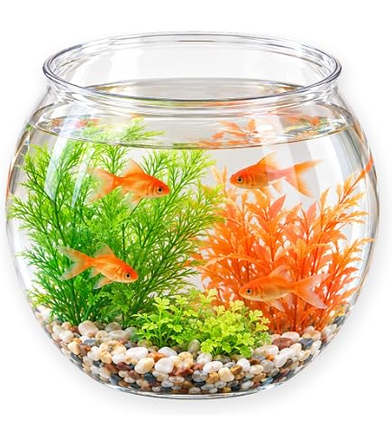 Amazon | AYAGANES 金魚鉢 円筒型 アクリル水槽 透明 メダカ 金魚
