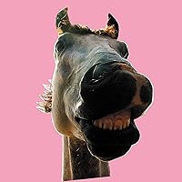 Amazon.co.jp: Do!! The☆MUSTANG: ミュージック