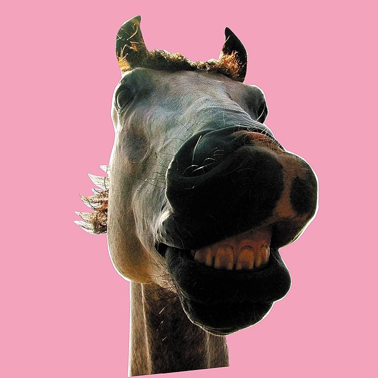 Amazon.co.jp: HOTEL TIKI-POTO - THE HIGH-LOWS: ミュージック