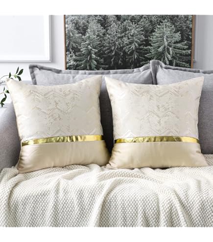 Amazon.co.jp: EUCIOR シャンパンクッションカバー 18x18インチ