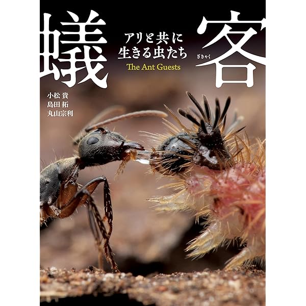 Amazon.co.jp: アリの巣の生きもの図鑑 電子書籍: 丸山宗利, 工藤誠也