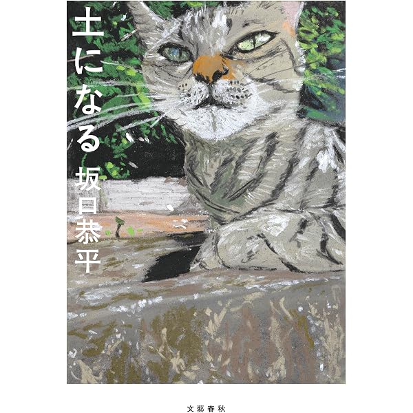 Amazon.co.jp: 思考都市 坂口恭平 Drawings 1999-2012 : 坂口 恭平: 本