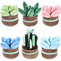 多肉植物とぬいぐるみのセット Amazon.co.jp: Jellycat Silly 多肉植物 円柱状サボテン