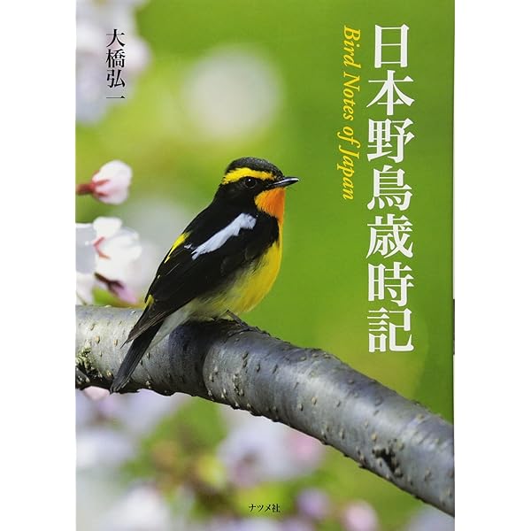 定本野鳥記 第9巻から10巻、12巻から16巻7冊セット中西悟堂 Amazon.co