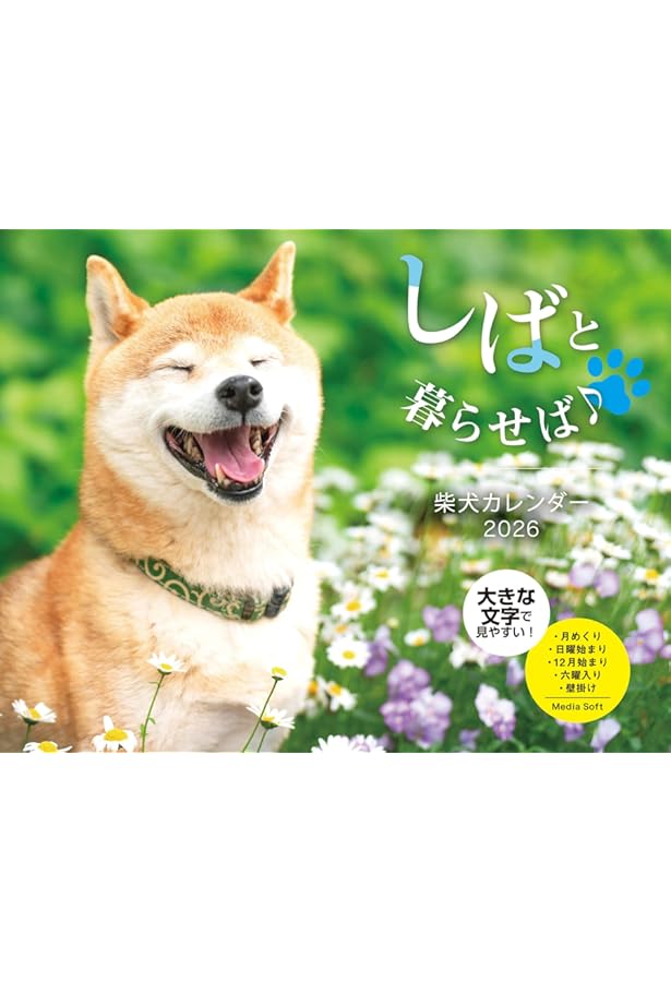 日本の柴犬カレンダー 2026（壁掛け） ([カレンダー]) | 蜂巣 文香 |本