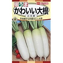 任天堂 - 大根 Amazon | 株式会社トーホク かわいい大根 小太郎 04571 | 野菜