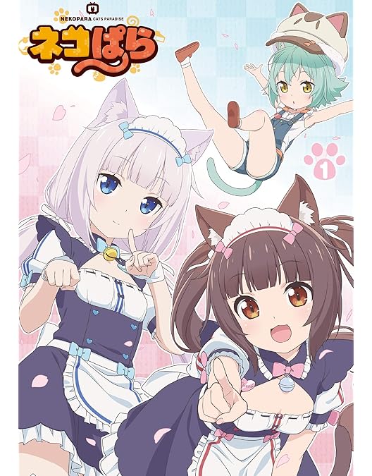 Amazon.co.jp: TVアニメ「ネコぱら」Blu-ray BOX II : 山本靖貴, 雑破