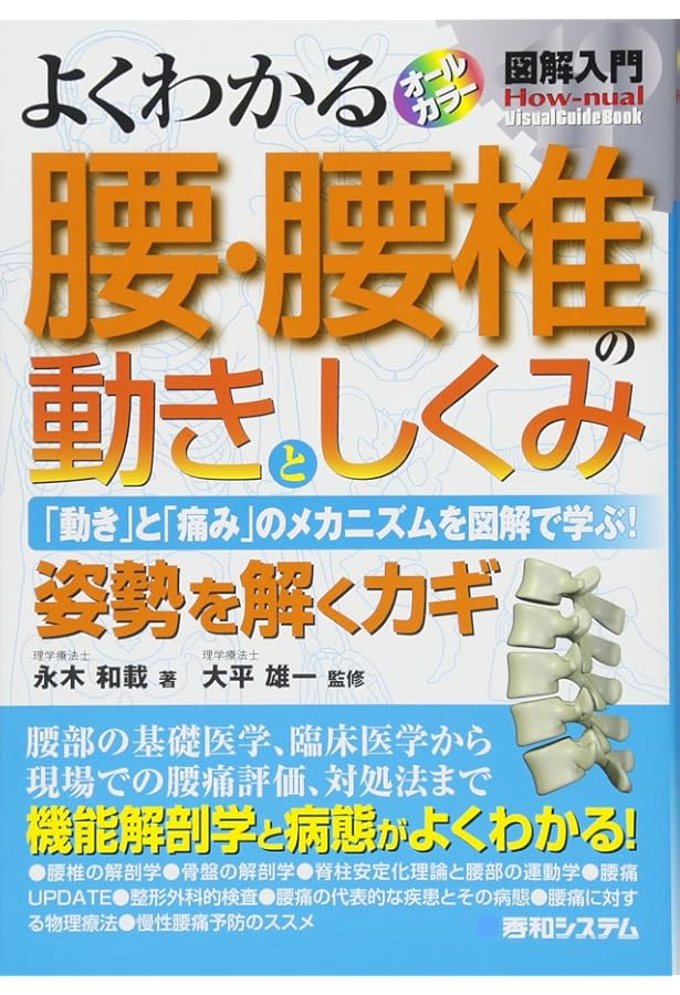 Amazon.co.jp: 図解入門よくわかる股関節・骨盤の動きとしくみ