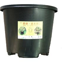 Amazon.co.jp: DICプラスチック 果樹・庭木用NPポット #100 : DIY