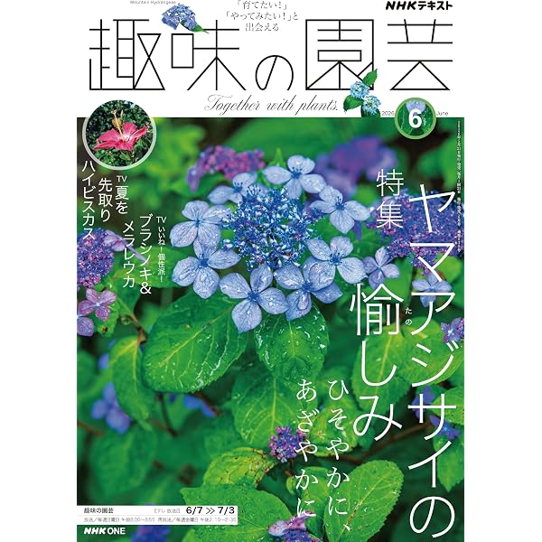 アジサイ百科 川島インデクス Hydrangea Kawashima Index アジサイ百科 川島インデクス Hydrangea Kawashima Index