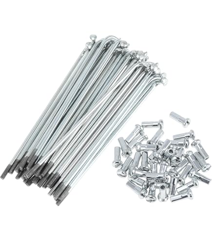 Amazon | DT SWISS チャンピオン2.0 シルバー（100本） 280～306mm