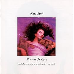 Amazon.co.jp: ケイト・ブッシュ・ストーリー: ミュージック