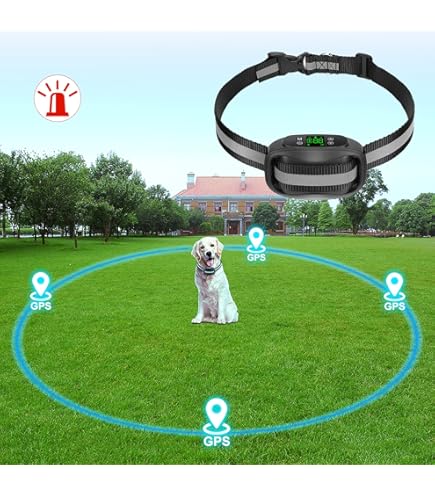 Pawious Dog Shock Collar With Radius GPS Dog Fence F800 Dogs Set