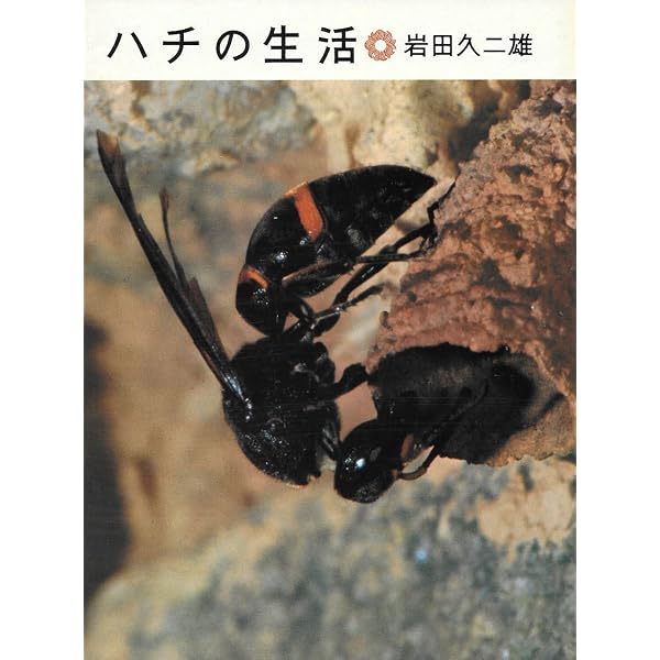ドロバチのアオムシがり (文研科学の読み物) | 岩田 久二雄, 岩本 唯宏