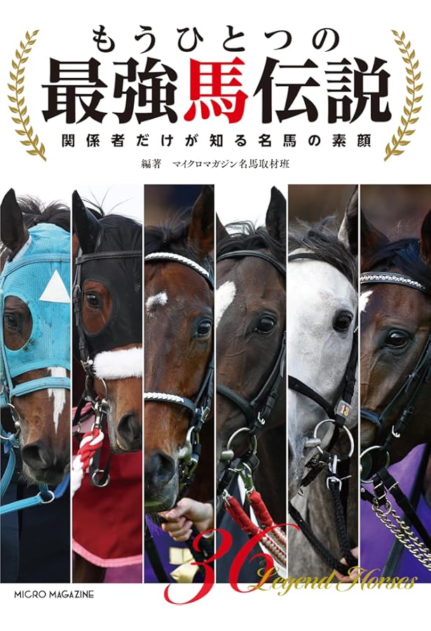 アイドルホース列伝 超 1949ー2024 (星海社新書 310) | 小川 隆行