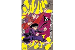 シルバーマウンテン（３） (少年サンデーコミックス)