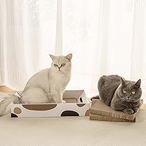 Amazon | MSBC 猫爪とぎ つめとぎ 鈴ボウル付 おもちゃ付き 箱型
