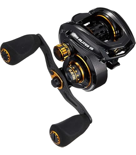 Abu Garcia Revo Black9 キムケン最終価格‼️ Amazon | アブガルシア (Abu Garcia) ベイトリール REVO BLACK9-L