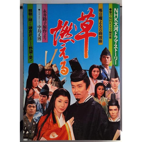 Amazon.co.jp: NHK大河ドラマ総集編 草燃える [DVD] : 岩下志麻, 石坂