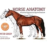 Horse Anatomy: A Pictorial Approach to Equine Structure