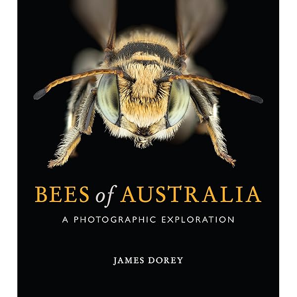 Australian Native Bee Book : Heard,Tim: Amazon.com.au: Books