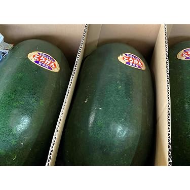 Amazon.co.jp Best Sellers: The most popular items in Fresh Squash
