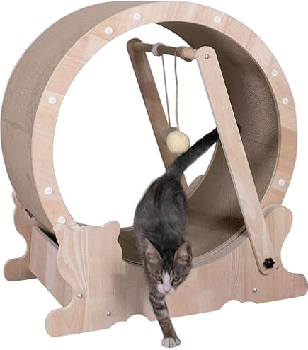 Amazon | Ciaobot キャットホイール 猫 直径90cm Mサイズ 室内飼い猫