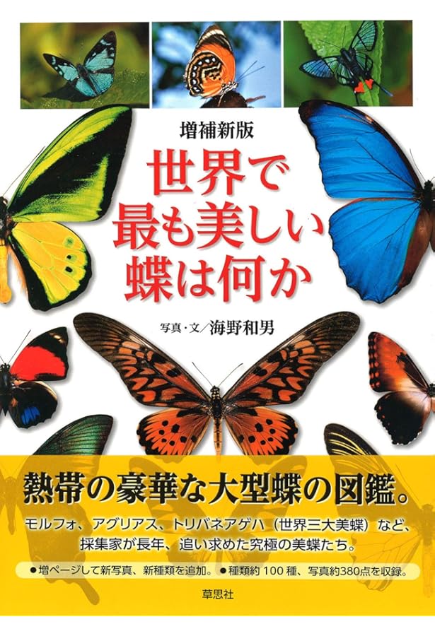 世界のチョウ | 今森 光彦 |本 | 通販 | Amazon
