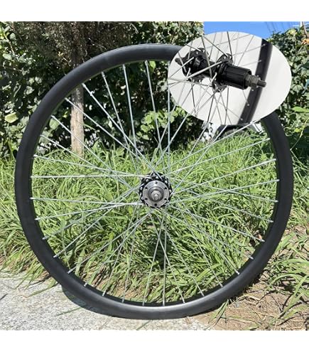 Buy Wheel Master Rear Bicycle Wheel, 20 x 1.75, 36H, Steel, Bolt On