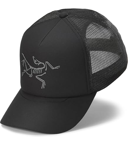 Amazon.co.jp: Arc'teryx Mallow Toque Smoke Bluff Free Size