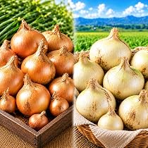 Amazon.co.jp: [みさわのやさい] フルーツにんじん 国産 10kg 訳あり