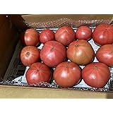 訳あり 愛知産 トマト 桃太郎 3kg （訳あり品につき、大小、スレ、キズ、変形がございます）