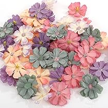 81UT2qXsi1L._AC_UL210_SR210,