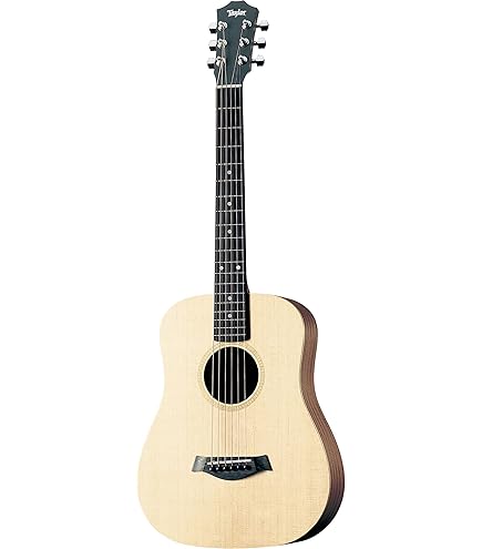 Amazon | Taylor Guitars テイラーギター TSBT2 シグネチャー