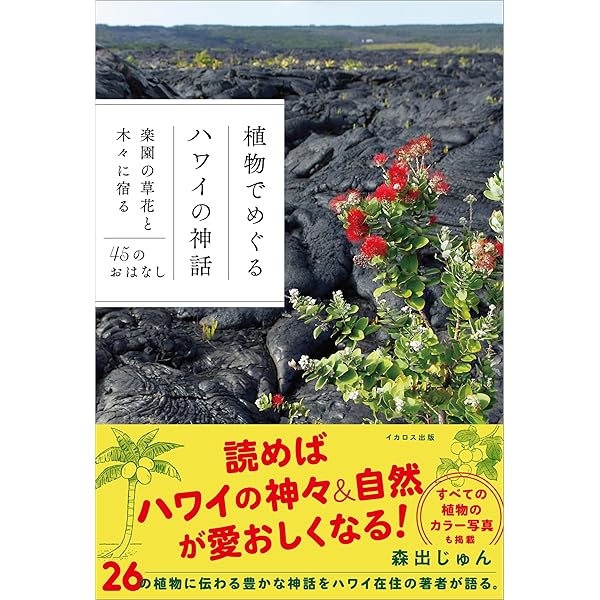 Hawaiian Dictionary for Hula Dancers~たくさんのメレから集めた言葉